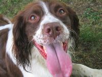 click for a larger view